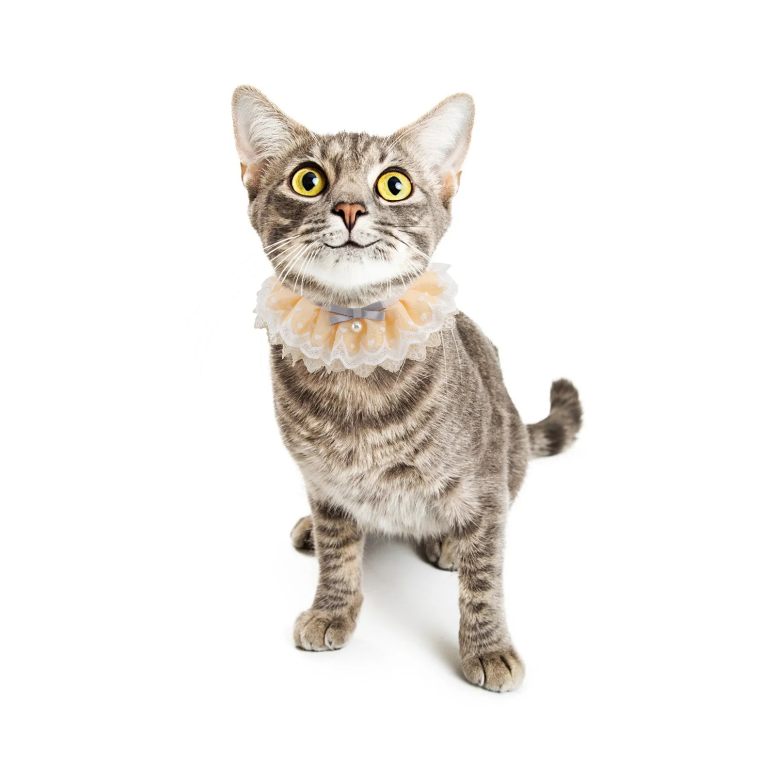 

1pc Collar Pet Scarf For Party Daily Wear Easy Clean Comfortable Gift For Cat Dog Bib Lace Scarf Collar Pet Supplies