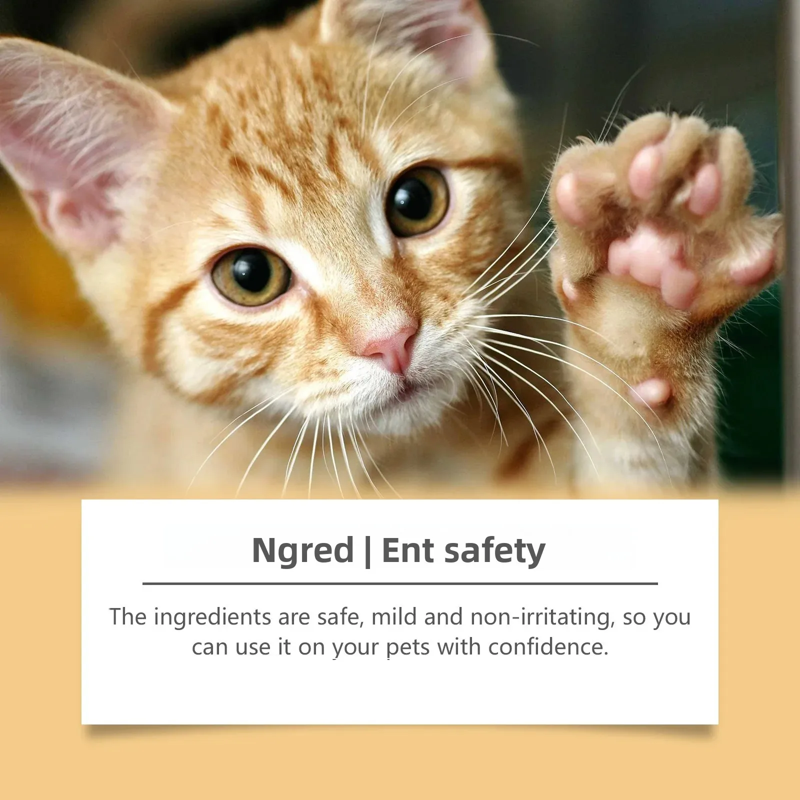 الحيوانات الأليفة باو بلسم الأنف الكفوف مرطب إصلاح الجافة متصدع القط العناية بالقدم حامي لعق آمنة إصلاح الجافة متصدع لوازم العناية بالكلاب #2