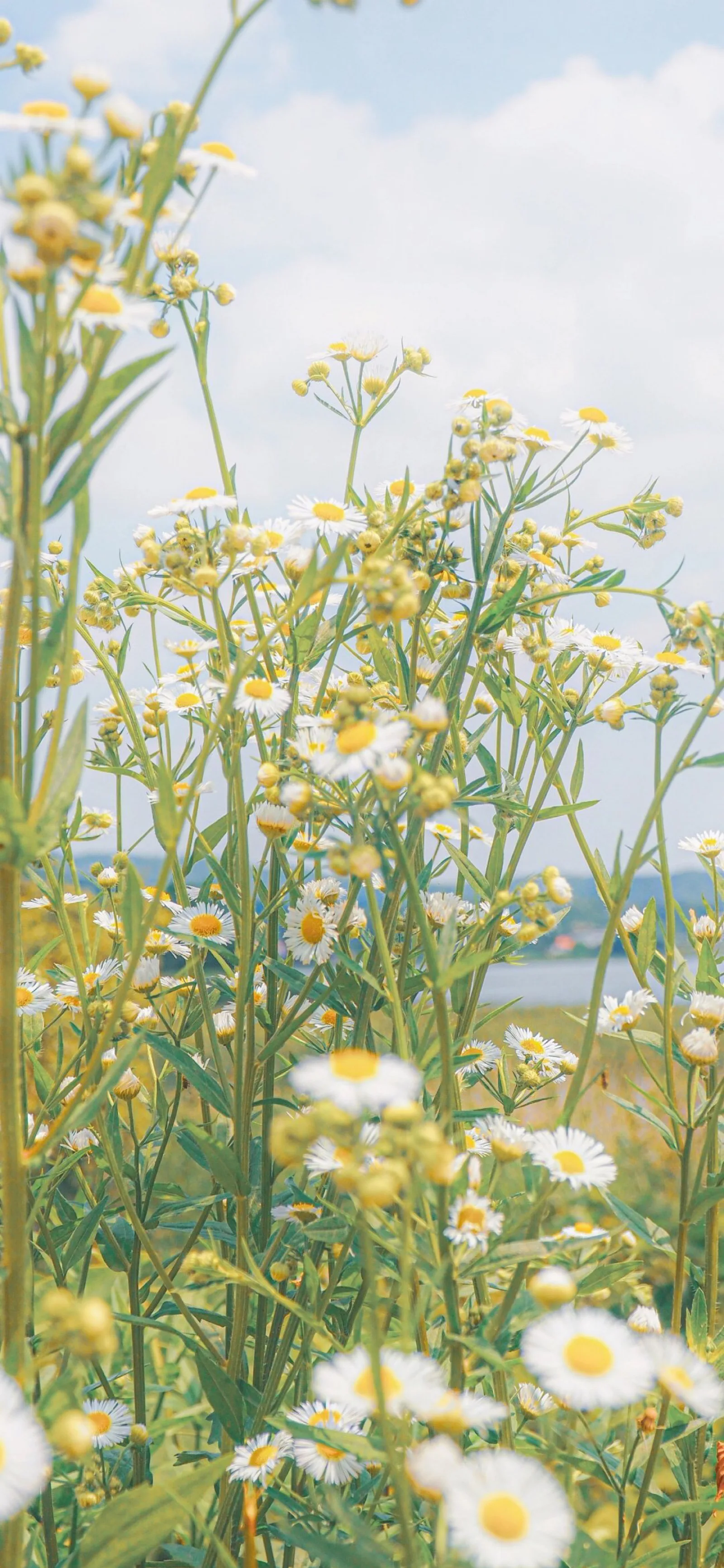 

Комплект из 4 шин MX RC 2,8 дюйма с шестигранным адаптером 12 мм для радиоуправляемых грузовиков 1/10, для Arrma Big Rock Granite VORTEKS 3S Trxs Rustler