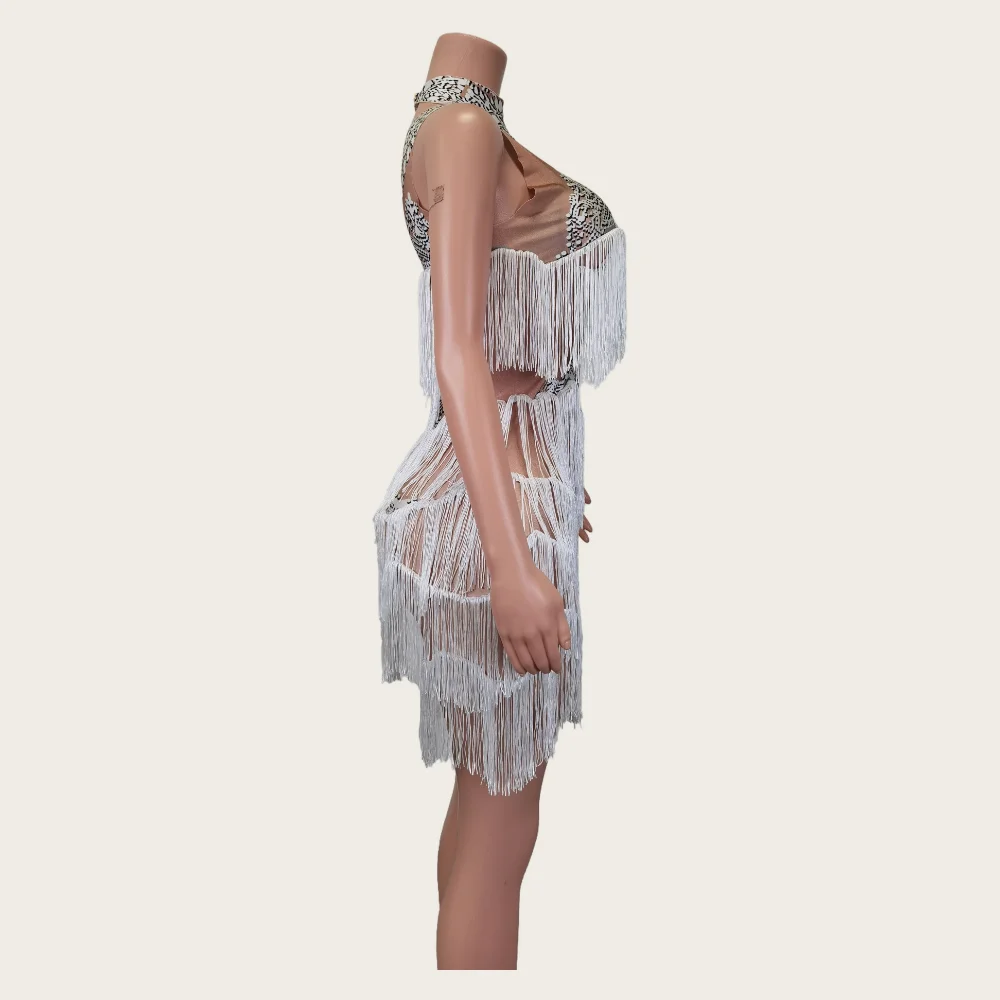 Fashion Clothing Pattern Fringes Short Party Prom Dress Showgirl Dancer Stage Performance Costume Women Tassel Nightclub Dresses