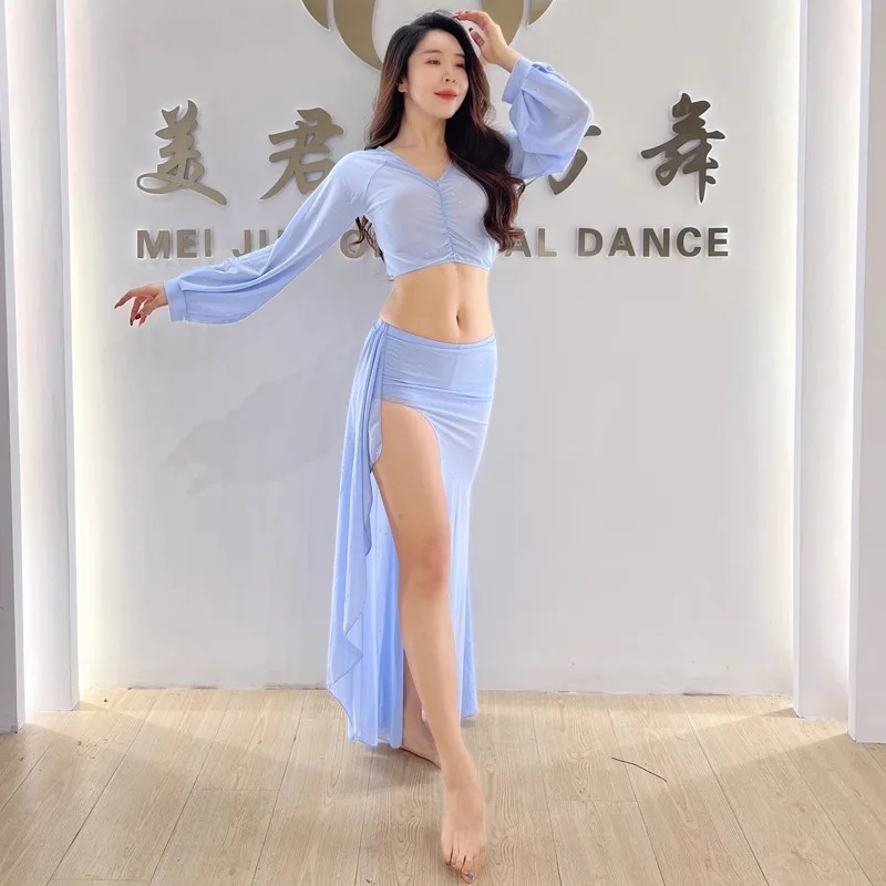Customized Belly Dance Costumes Solid Color Mesh Long Sleeve Top Split Skirt Shining Set Oriental Dance Skirt Practice Dress