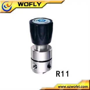 Stainless Steel Pressure Reducer 40 Bar Air Regulator Valves