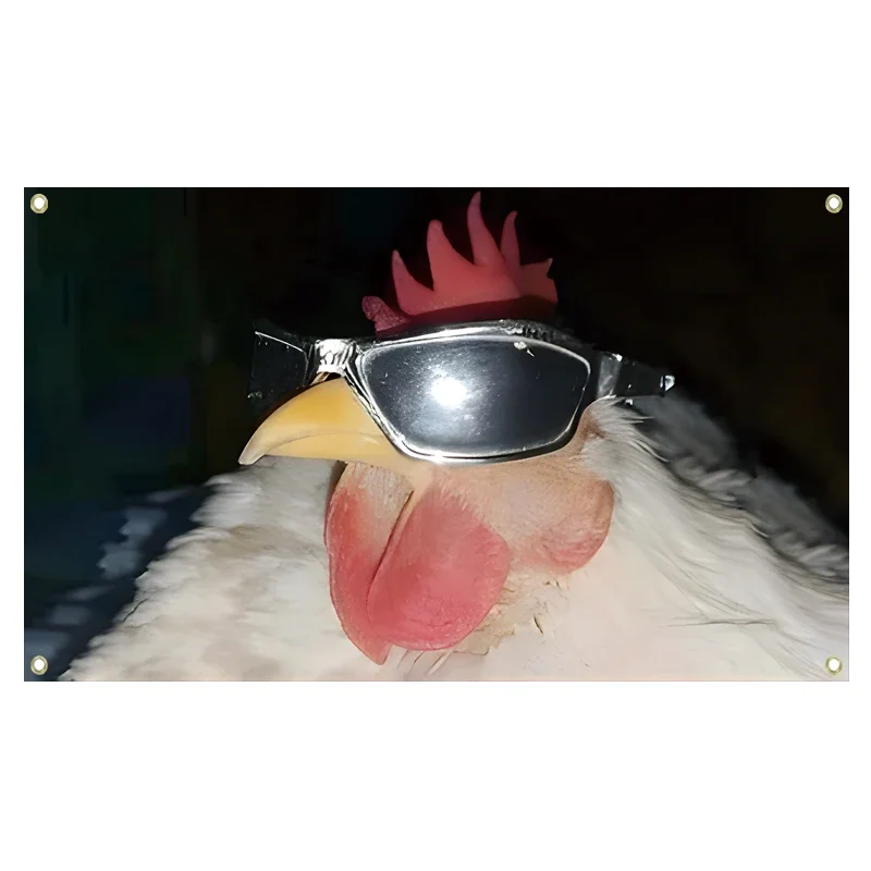 Cool Chicken flag 3x5fts 2x3fts Funny Animal Wall Hanging, Durable Polyester, Perfect for Living Room, Dorm, Party Decor