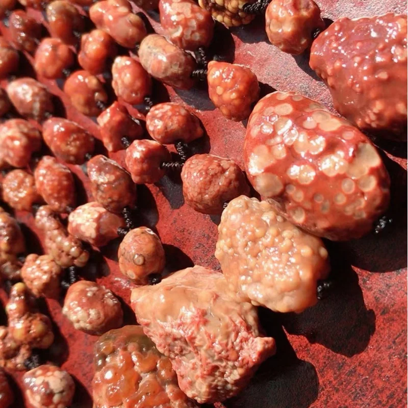 Alashan Gobi Rough Stone Red Fish Seed Necklace - view 3