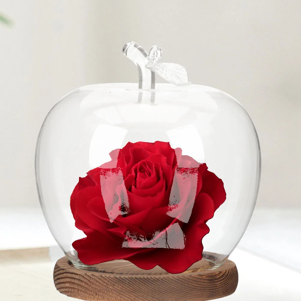 

Preserved Flower Cover Kitchen Ornaments Creative Glass Decor Decorative Dome Holder Home