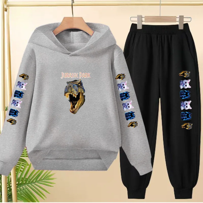 

Children Charming Jurassic Dinosaur print Autumn Clothes 3-12Yrs Pullover Hoodie Boys Girls Coat+Pants Casual Sports Jogging Set