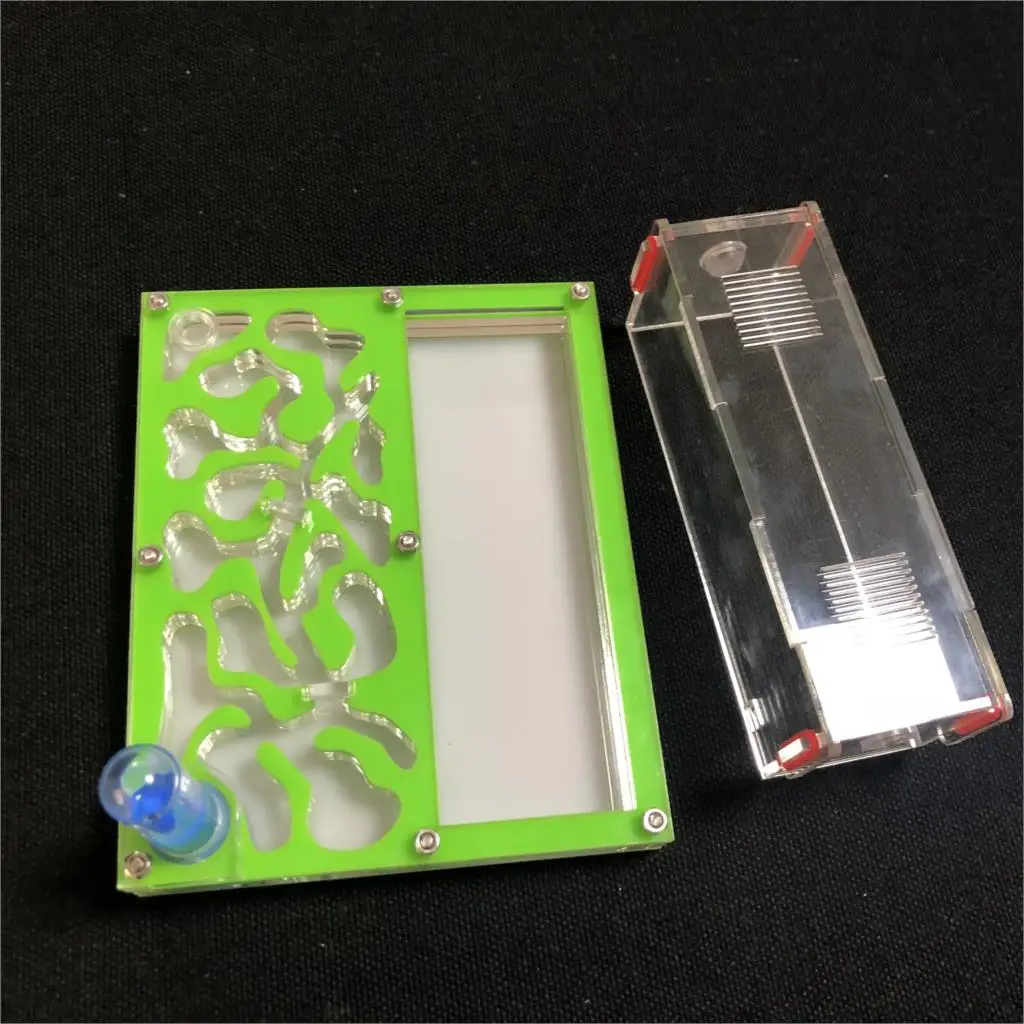 Acrylic Test Tube Ant Farm 3