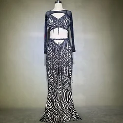 Belly Dance Costume Popsong Performance Women Customsized Dancing Zebra Short Sleeves Top+long Skirt Bellydance Practice Suit