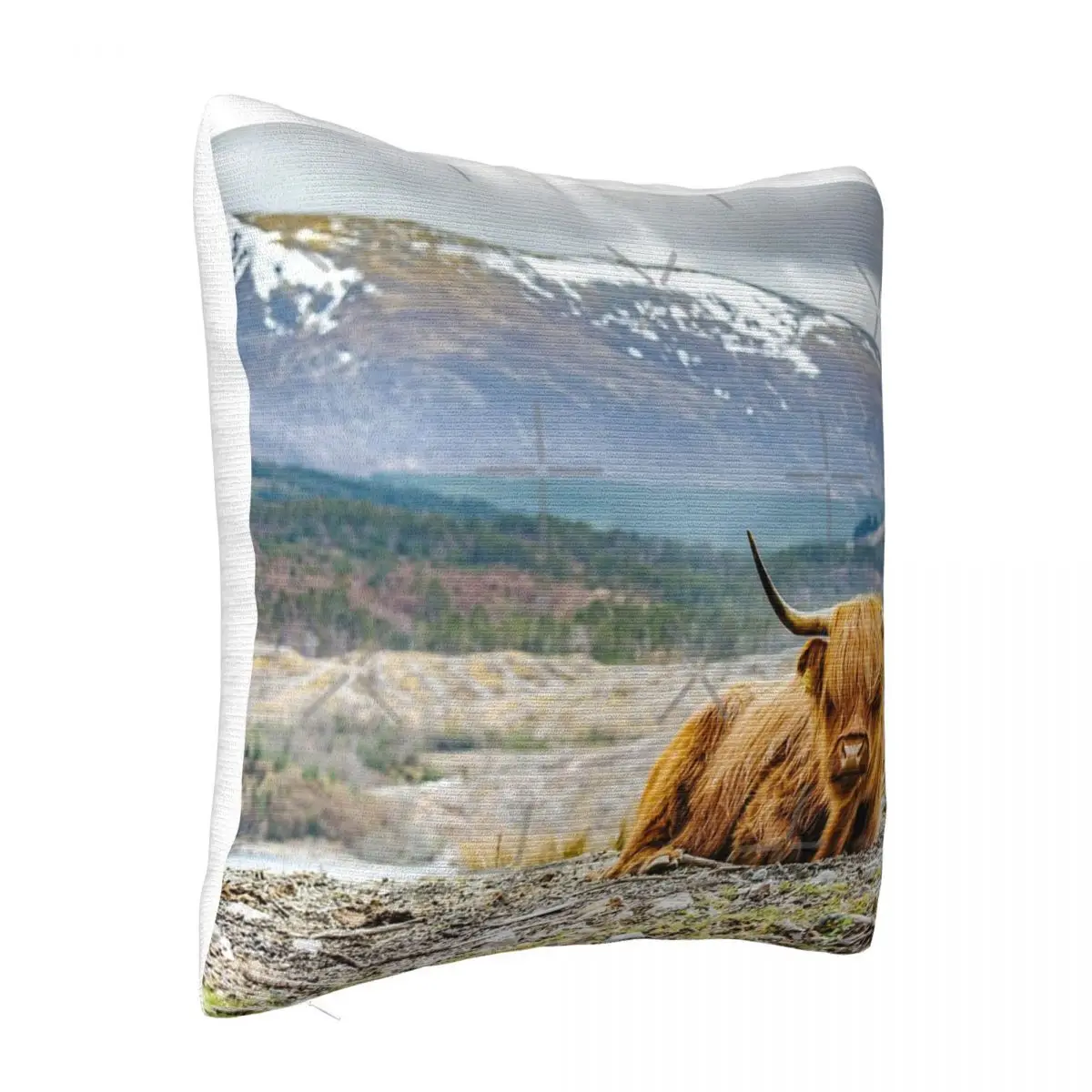 Hairy Higland Cow - A Cute Dakimakura Decorative Pillows Pillow Covers Decorative Pillow Case Pillow Cover