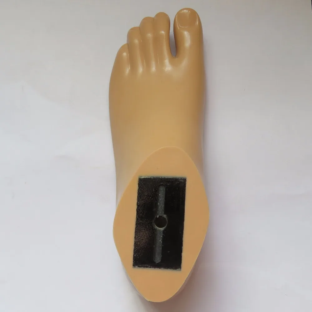 Peças Protéticas Implantes Ortopédicos Prótese de Pé Sach Marrom/Cor de Pele 1D10