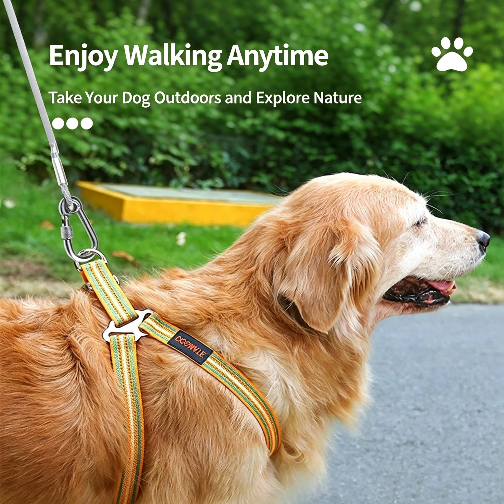 Double-headed Dog Tie Out Cable Leash ,raction rope with metal buckle steel wire anti-rust training collar,Outdoor Dogs Strap