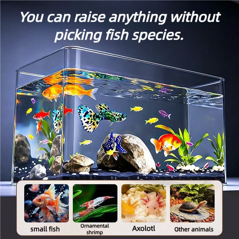 Aquarium en matériau PET haute transparence en plusieurs tailles, adapté aux petits poissons, poissons rouges et tortues pour une utilisation à la maison et au bureau