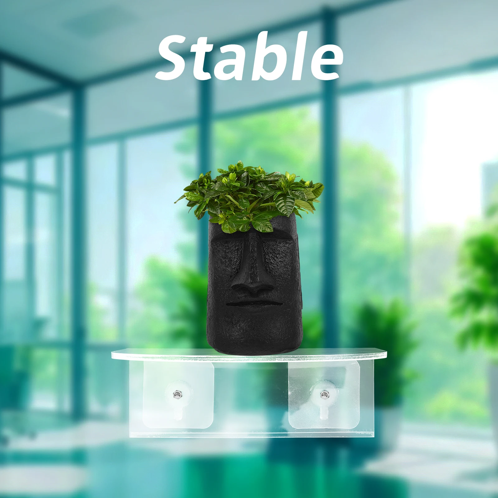 

Suction Cup Window Shelf Clear Acrylic No Drilling Plant Display Rack Storage Stand for Living Room Bedroom Kitchen Wall