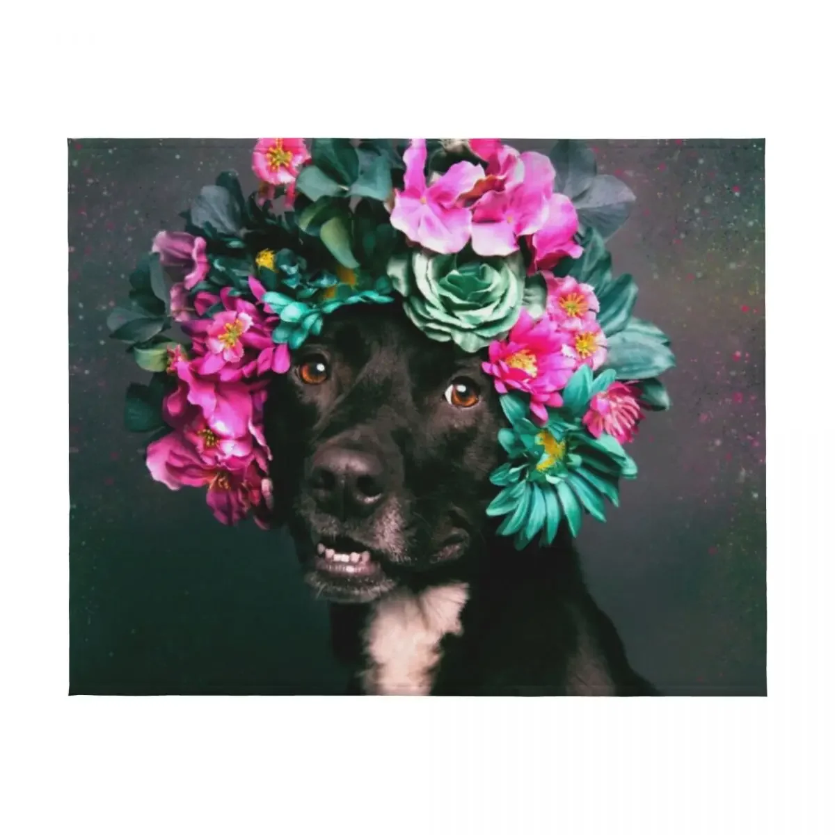 قوة الزهرة، بطانية كايلي رمي العلامة التجارية الفاخرة بطانيات شعر مخصصة متعددة الأغراض