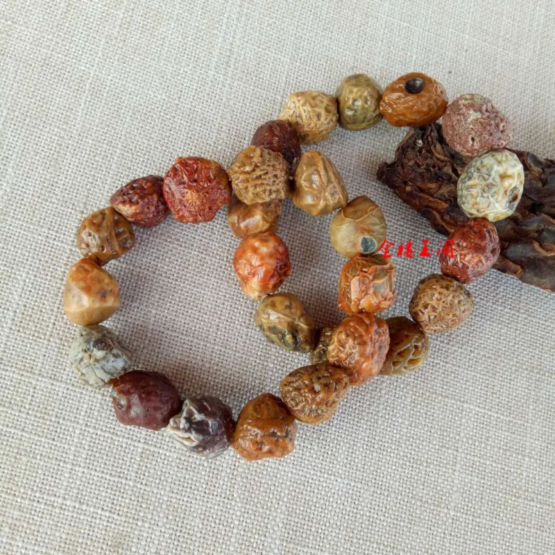 Jewelry Alashan Gobi Material Rough Tendon Stone Sugar Heart Raisin Agate Bracelet Wholesale