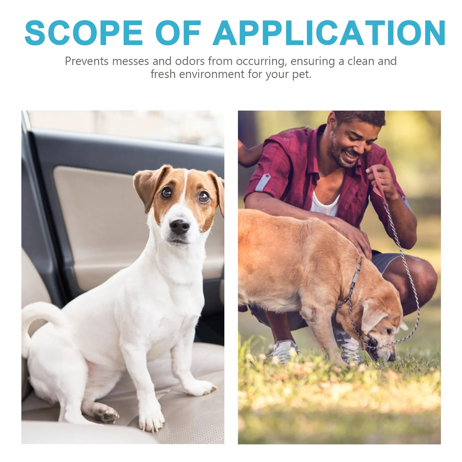 

Pet Physical Pant Washable Reusable Dog Diaper For Female Dogs In Heat Leakproof Breathable Comfortable Sanitary Pant Pet