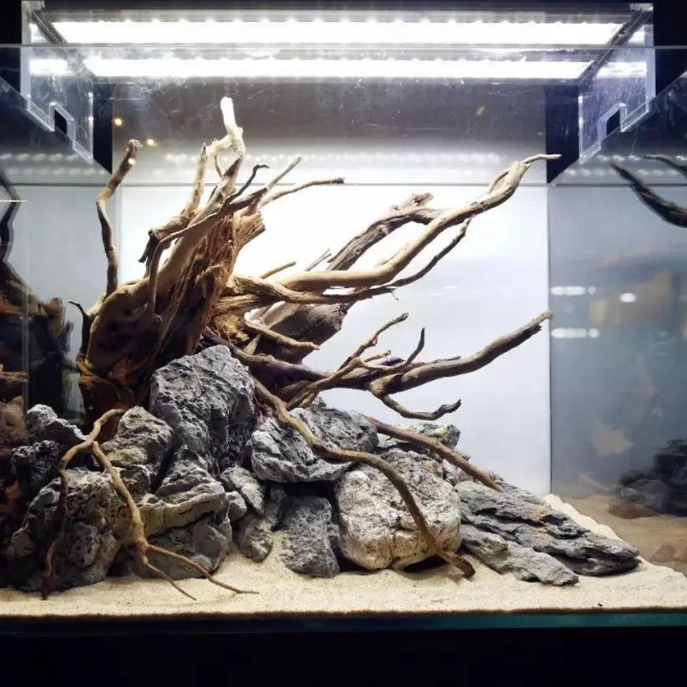 Dekorasi N1N akuarium dekorasi tangki ikan ornamen tangki reptil latar belakang tanaman tunggul Driftwood Cuckoo akar alami batang