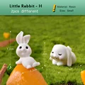 2pcs Little Rabbit H