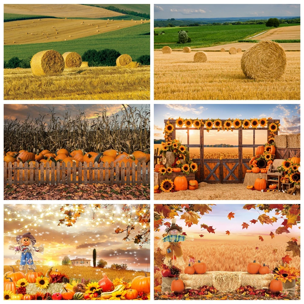 

Wheat Field Backdrop Autumn Farm Golden Field Sky White Clouds Pumpkins Harvest Nature Photography Background Decor Photo Studio