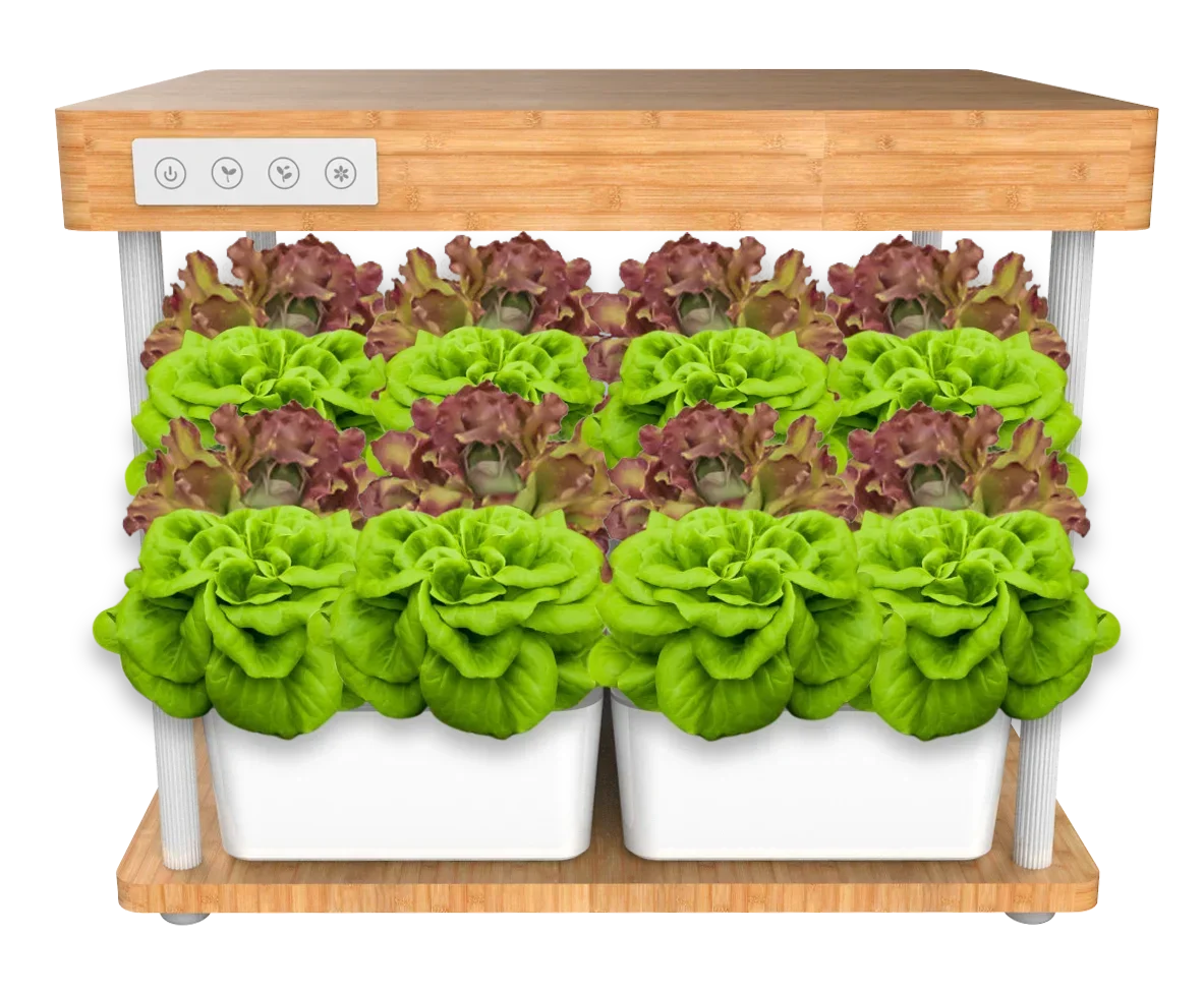 

IGS-06 Indoor Hydroponics Growing Systems Specific Spectra LED Grow Light Bamboo Frame 16pods Hidroponic System For Home
