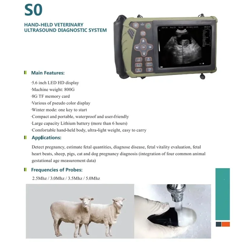 Portable Veterinary Ultrasound Instrument Clear Imaging For Various Animal Examination