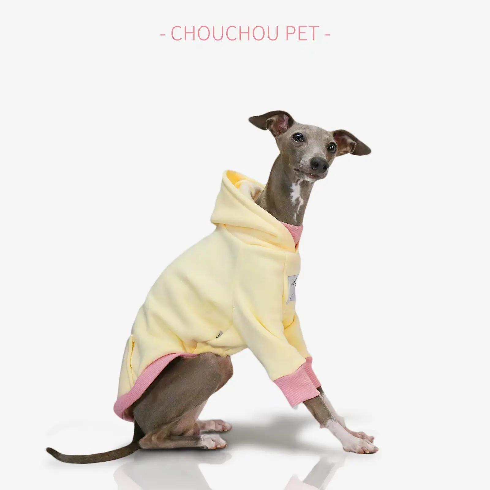 Spring new hooded pet sweatshirt Italian iggy coat Whippet sweatshirt suitable for small and medium-sized dogs