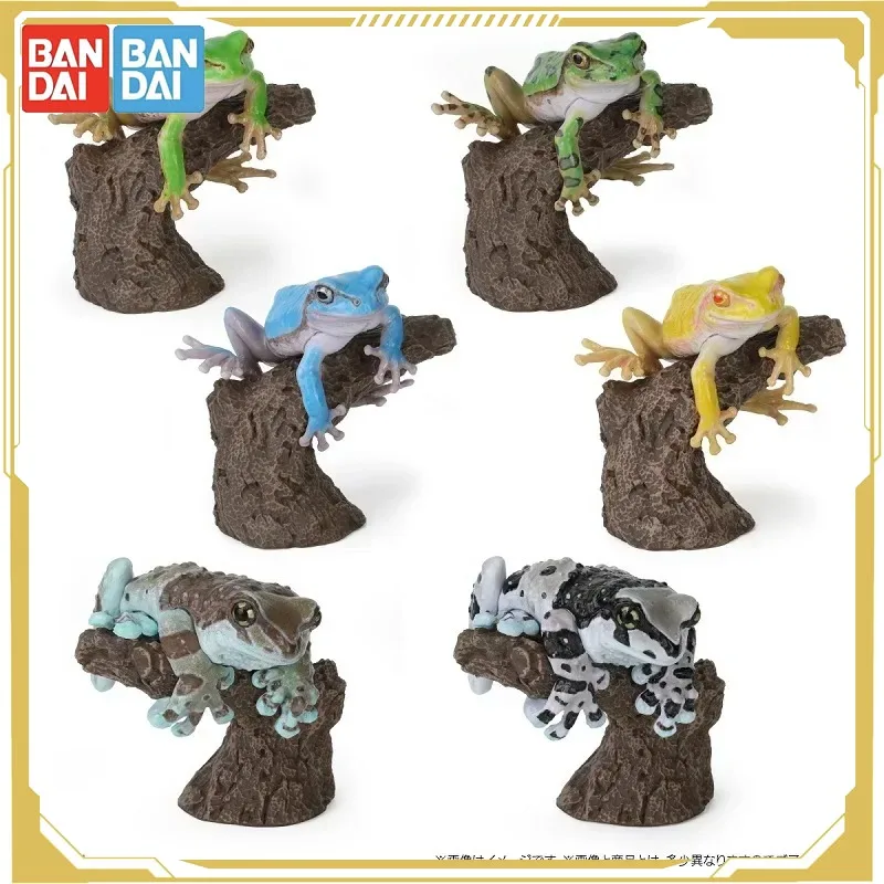 

BANDAI Biological Encyclopedia Action Figures Model Tree Frogs Milk Tree FrogsGashapon Ornament Genuine Collect Ornaments