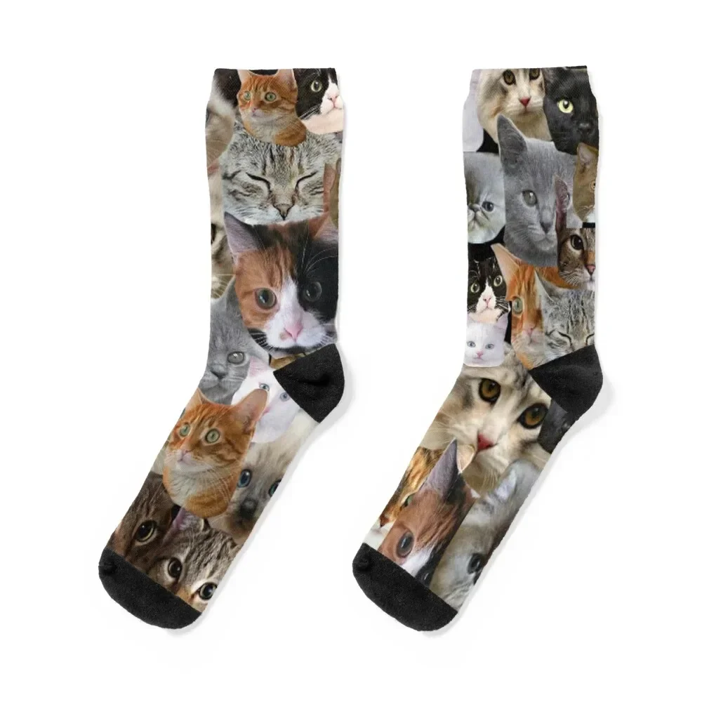 CRAZY CAT LADY Socks snow fashionable essential japanese fashion Socks Men Women's