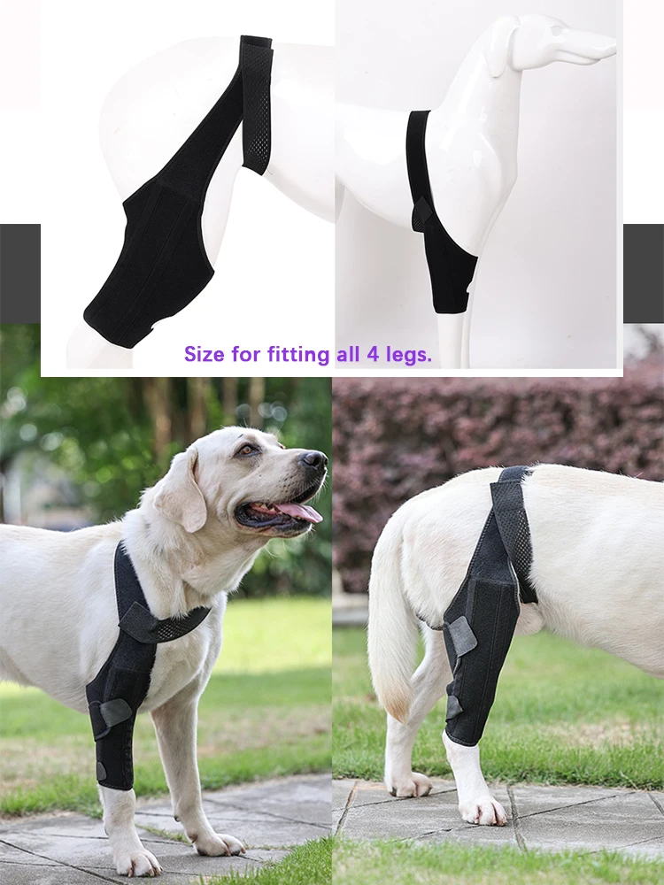 Pet Dog Knee Brace for Front Back Leg with Metal Support Dogs Leg Recovery Suit Joint Wraps Orthopedic Elbow Brace Pad Bandages