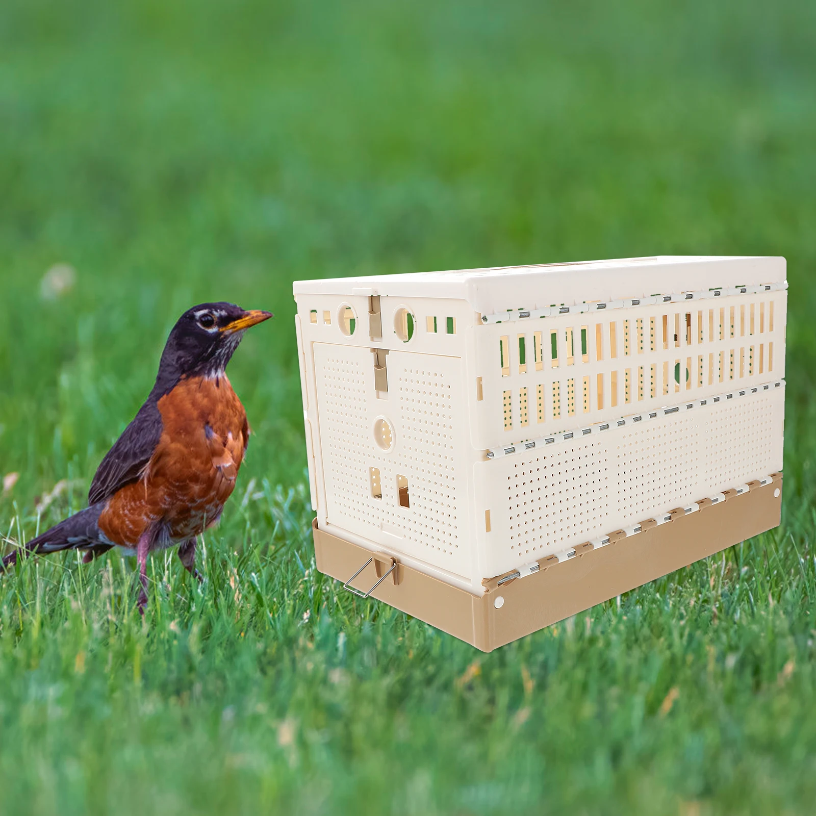 

Plastic Foldable Pigeon Durable Odorless Easy Assembly Pigeon Resting Cage Transportation Bird Cage Safe Locking Door