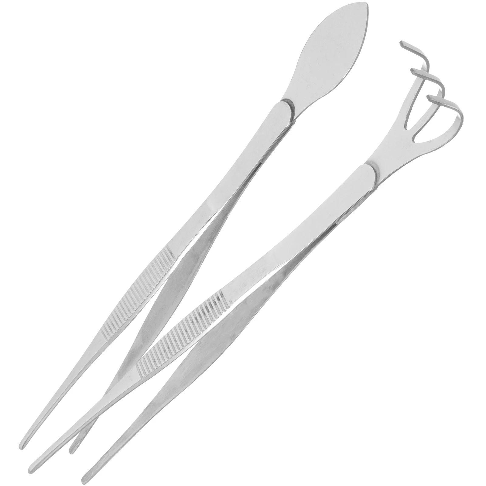 

2pcs Bonsai Tool Set Stainless Steel Tweezers Rake Spatula for Planting Moss Gardening Small Tools Suite Portable Bonsai