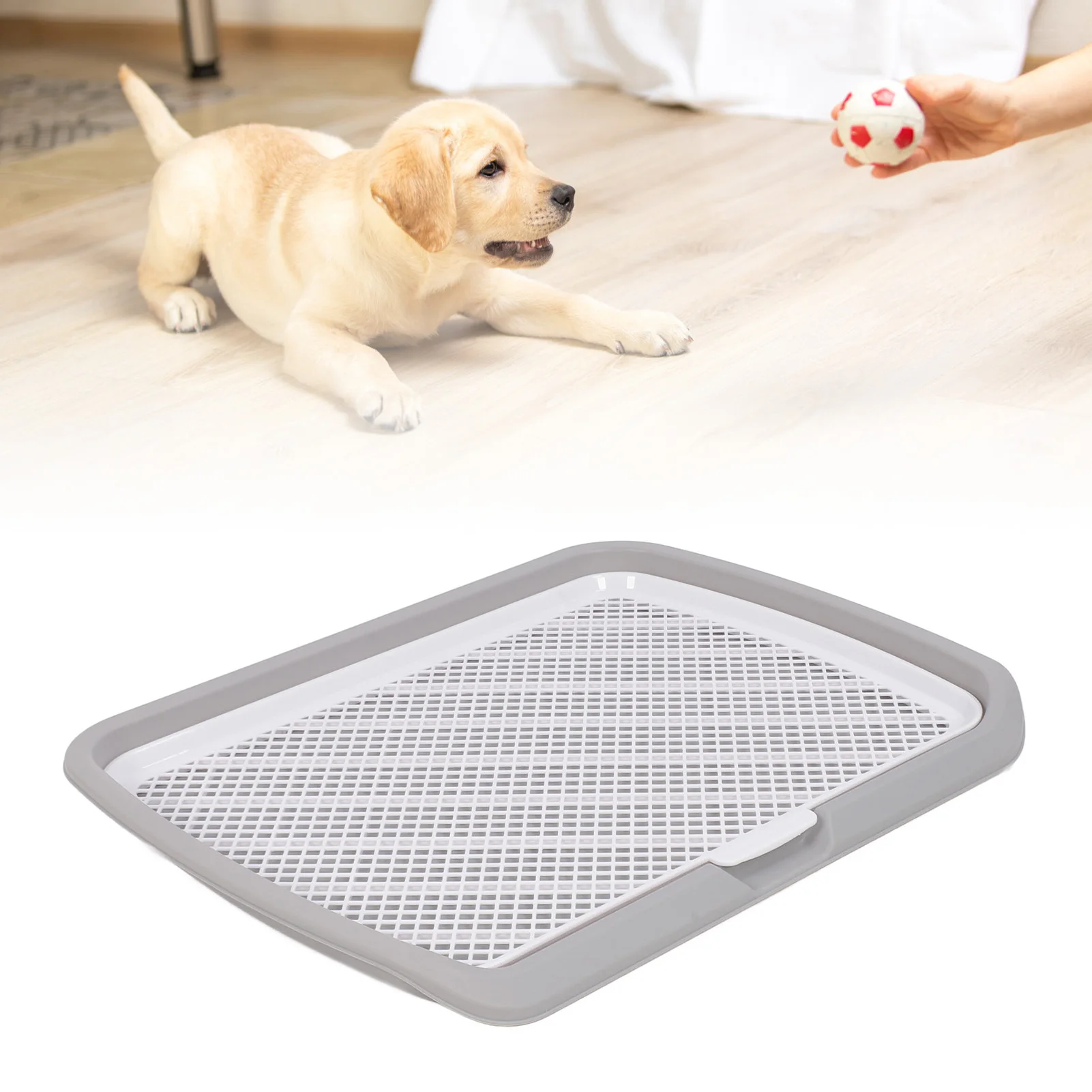 ZK20 Puppy Potty Training Tray Detachable Washable Mesh Dog Pee Pad Holder Tray for Small Breed Dog Gray