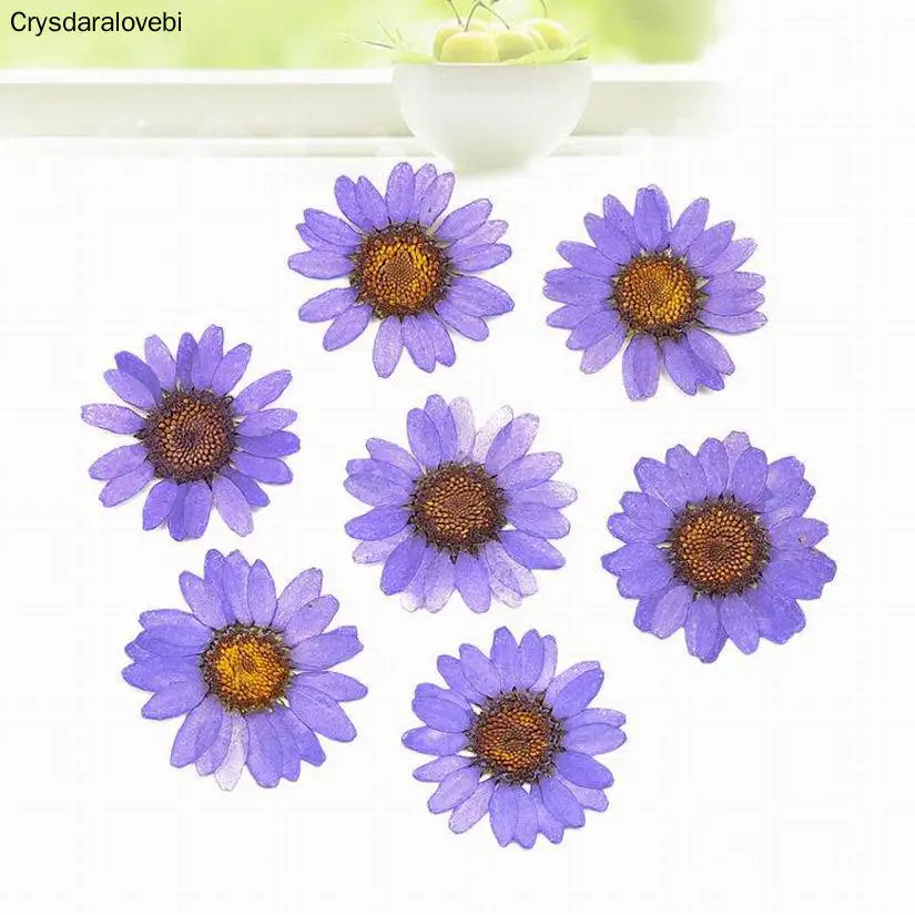 1080 pcs Pressed Press Dried Daisy Dry Flower Plants For Epoxy Resin Pendant Necklace Jewelry Making Craft DIY Accessories