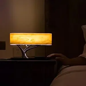 Consumer Electronics Hot New Products 2023 Bedside Lamp Desk Lamp With Bluetooth Speaker Desk Light With Wireless Charger