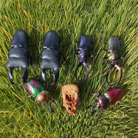 Bandai Original Toys Ikemono Taisyou Advance Stag Beetle Gacha Lucky Draw Anime Action Model Figures Collection Model Toys Gifts