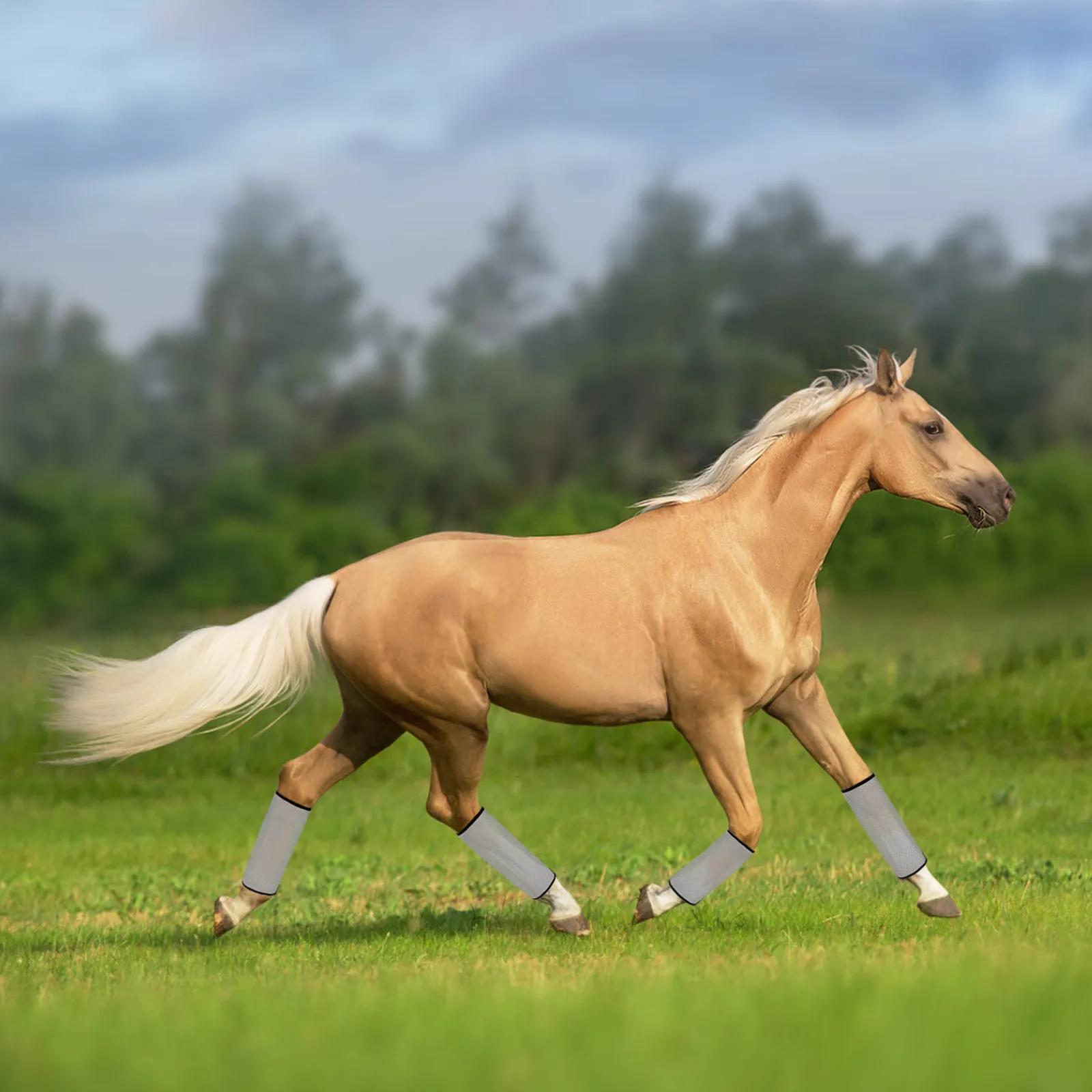 通気性の良いpvcメッシュ素材を使用した、4枚セットの馬用脚保護カバー。紫外線から保護し、虫除け効果があり、涼しく快適な装着感。トレイルライディングに最適。