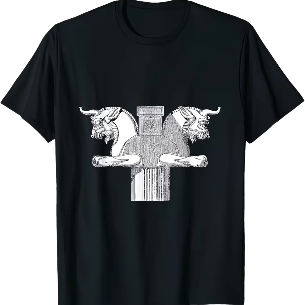 Persian Fine Arts Persepolis Takhtejamshid Ancient History Design T Shir Men's Cotton Tee Women Summer Oversize Novelty Harajuku
