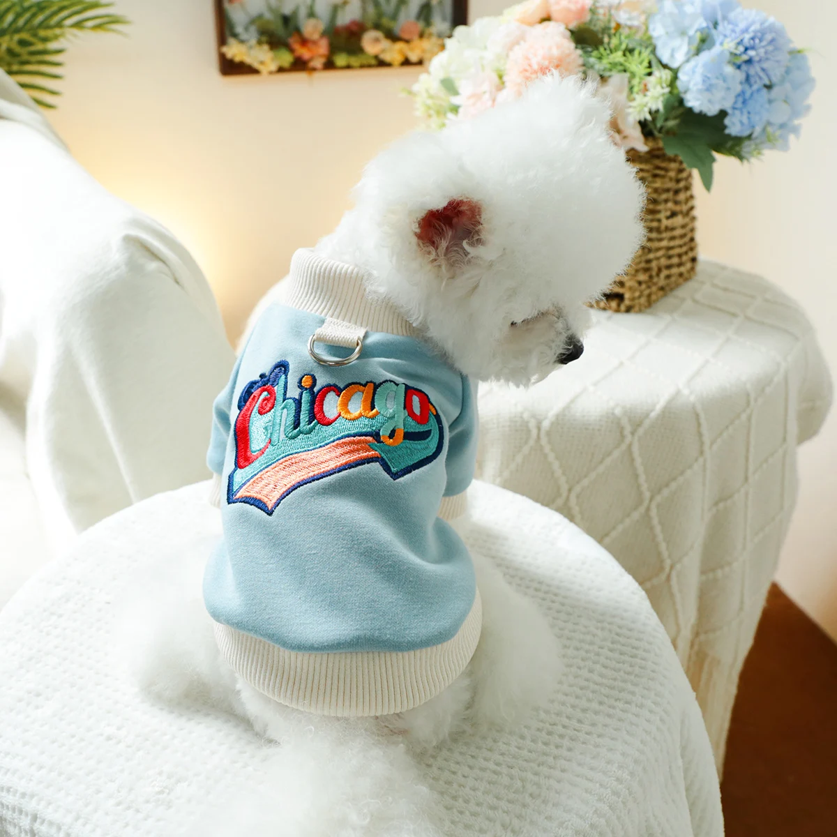 1PC Pet Clothing Spring and Autumn Velvet Hoodie Blue Color Chicago Hoodie Suitable for Small and Medium sized Dogs