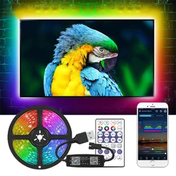 Bande lumineuse rgb LED WS2812b, Bluetooth, contrôleur de musique, adressable individuellement, micro intégré, télécommande, décor de salle de télévision