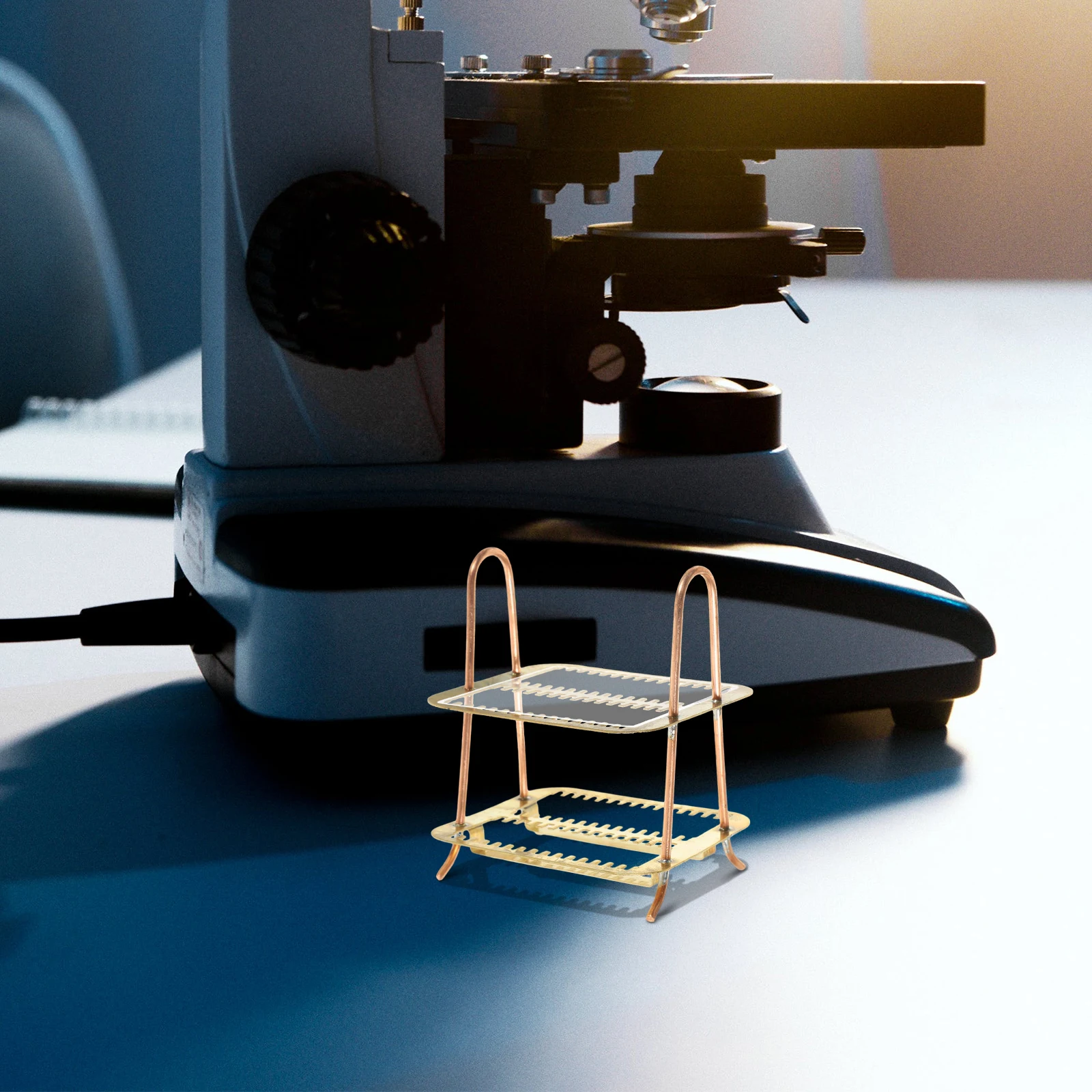 

Copper Microscope Slides Staining Rack Storage Holder Lab Experiments Metal Small Practical Teaching Equipment