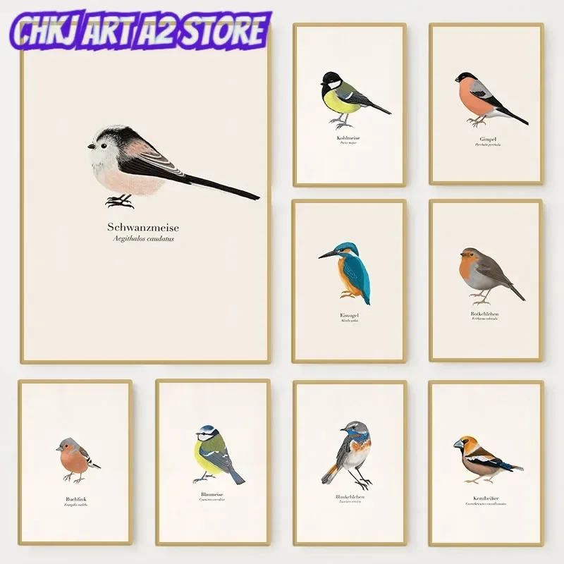 Native Birds Species Collect Illustration Poster Nature Bird Animal Minimalist Wall Art Canvas Painting Posters for Home Deco