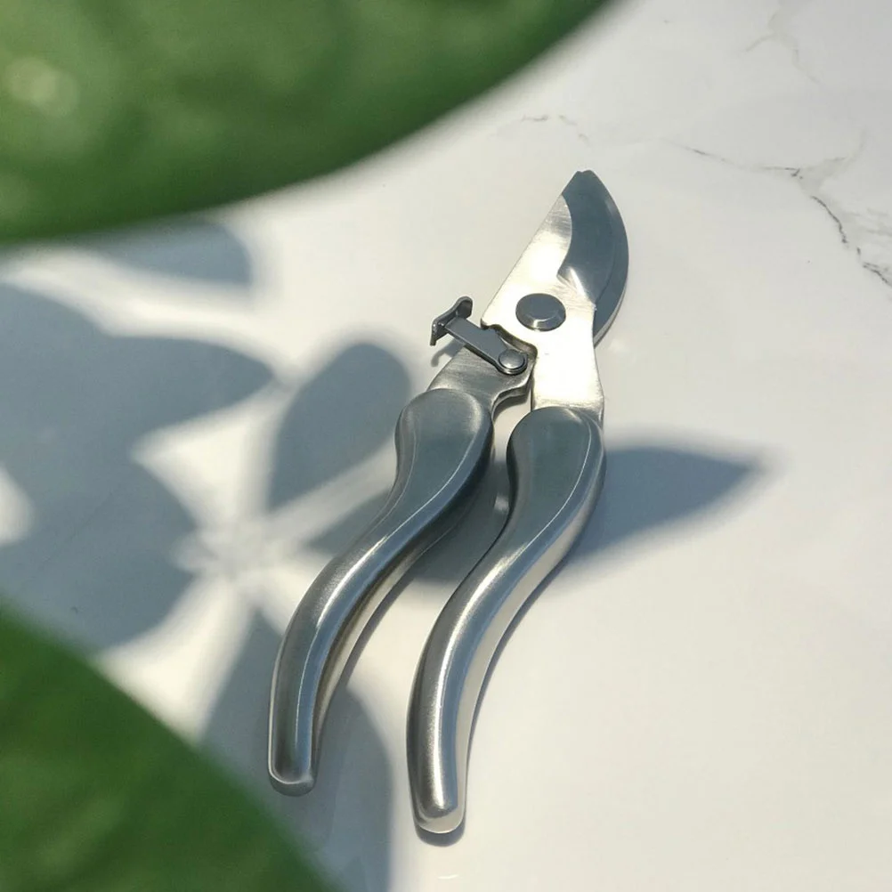 

Bonsai Tools Scissors Gardening Pruner Professional Shears for The Pruning Pruners Electric Hand Blackout Needlework