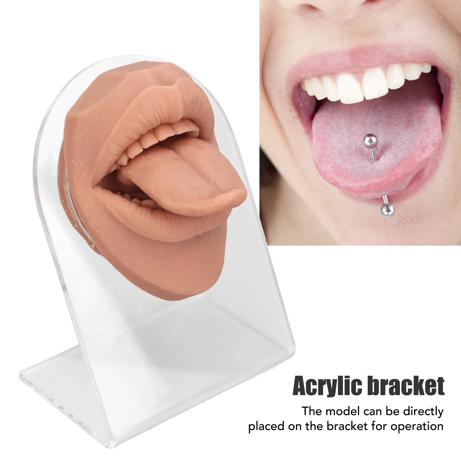 Human Tongue Model Soft Silicone Lifelike Acrylic Stand Mouth Model for Jewelry Display