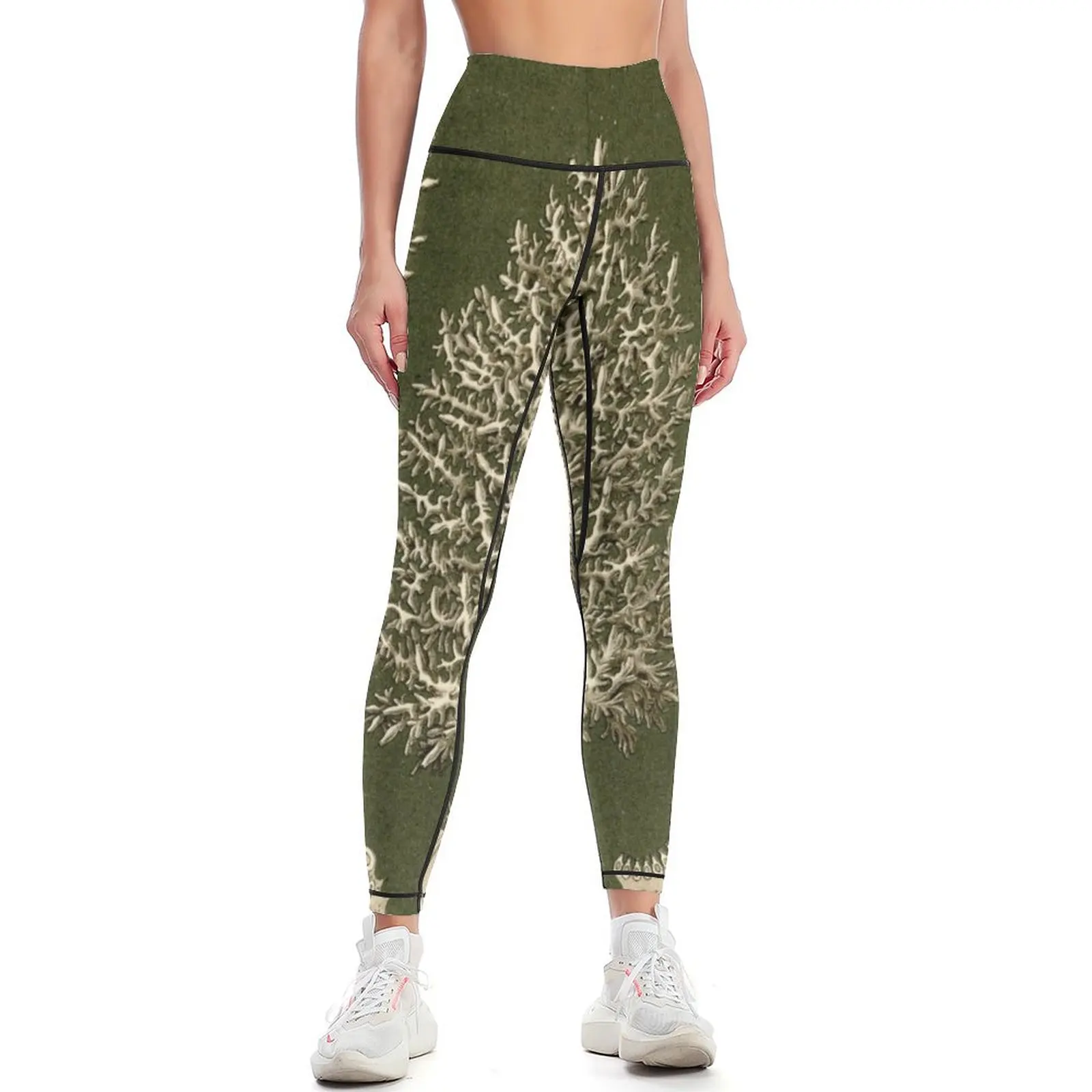 Calcispongiae - Ernst Haeckel Leggings Sports pants for sports for workout clothes for Womens Leggings