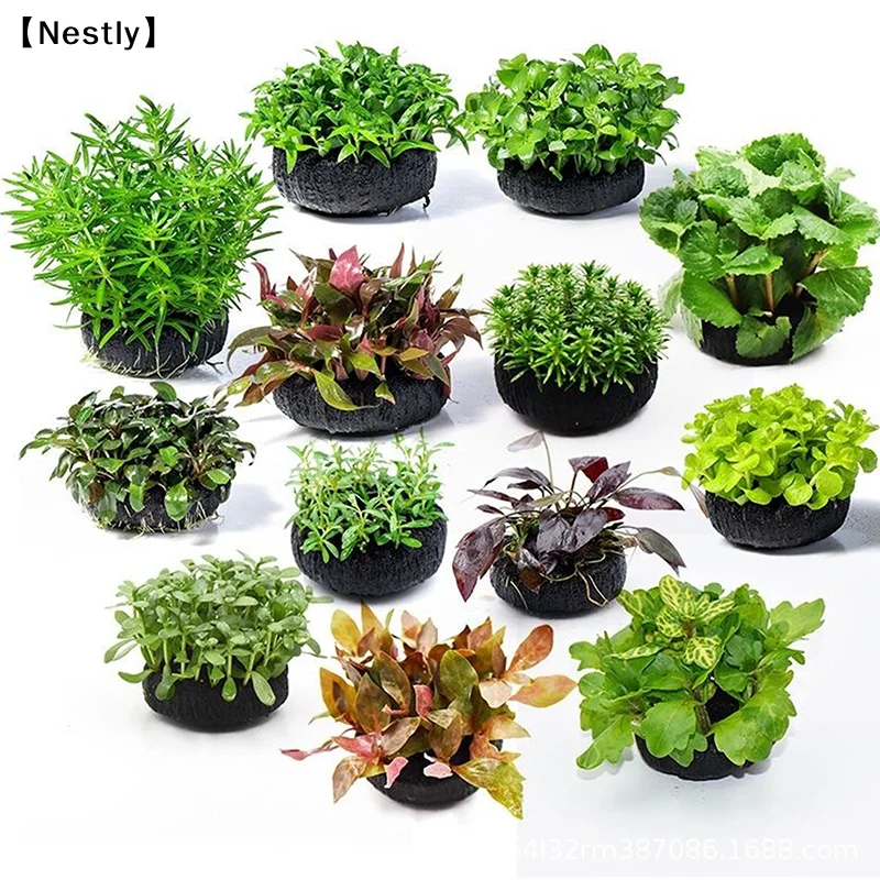 2Pcs Fish Tank Water Grass Pla - Aquasoil Substrate recension och pris
