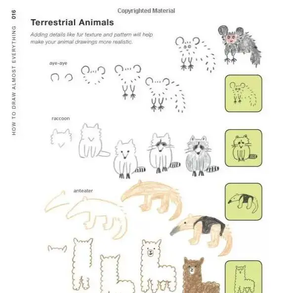 Early Childhood Education: How to Draw Almost Everything - A Guide to Drawing Illustrated Picture Books with Simplified Sketches