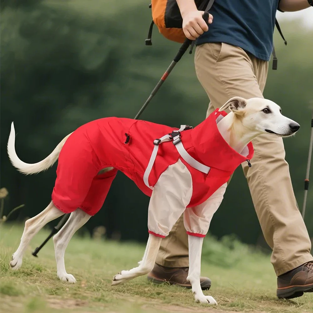 

Detachable Dog Raincoat with Harness Waterproof Pet Rain Coats for Small Medium Dogs Greyhound Shepherd Beagle mascotas Overalls
