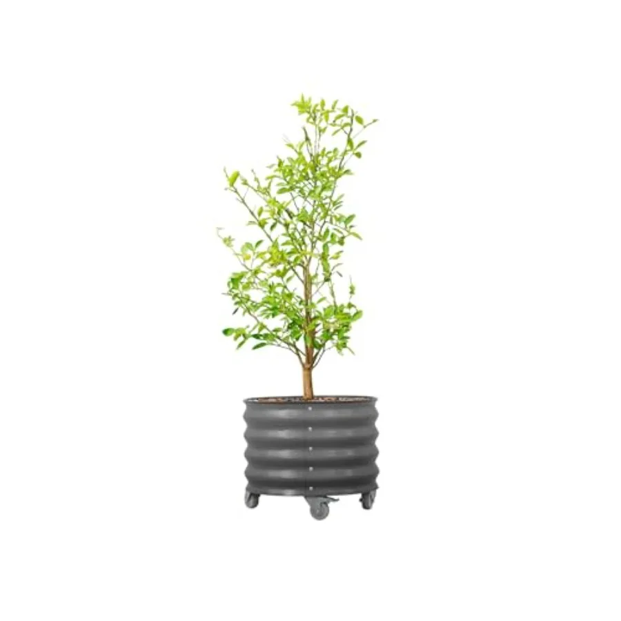 Rolling Metal Citrus Tree Planter Pot 21 Round Planter Box for Porch Patio Backyard 20 Gallon Large Planter Pot with Wheels for