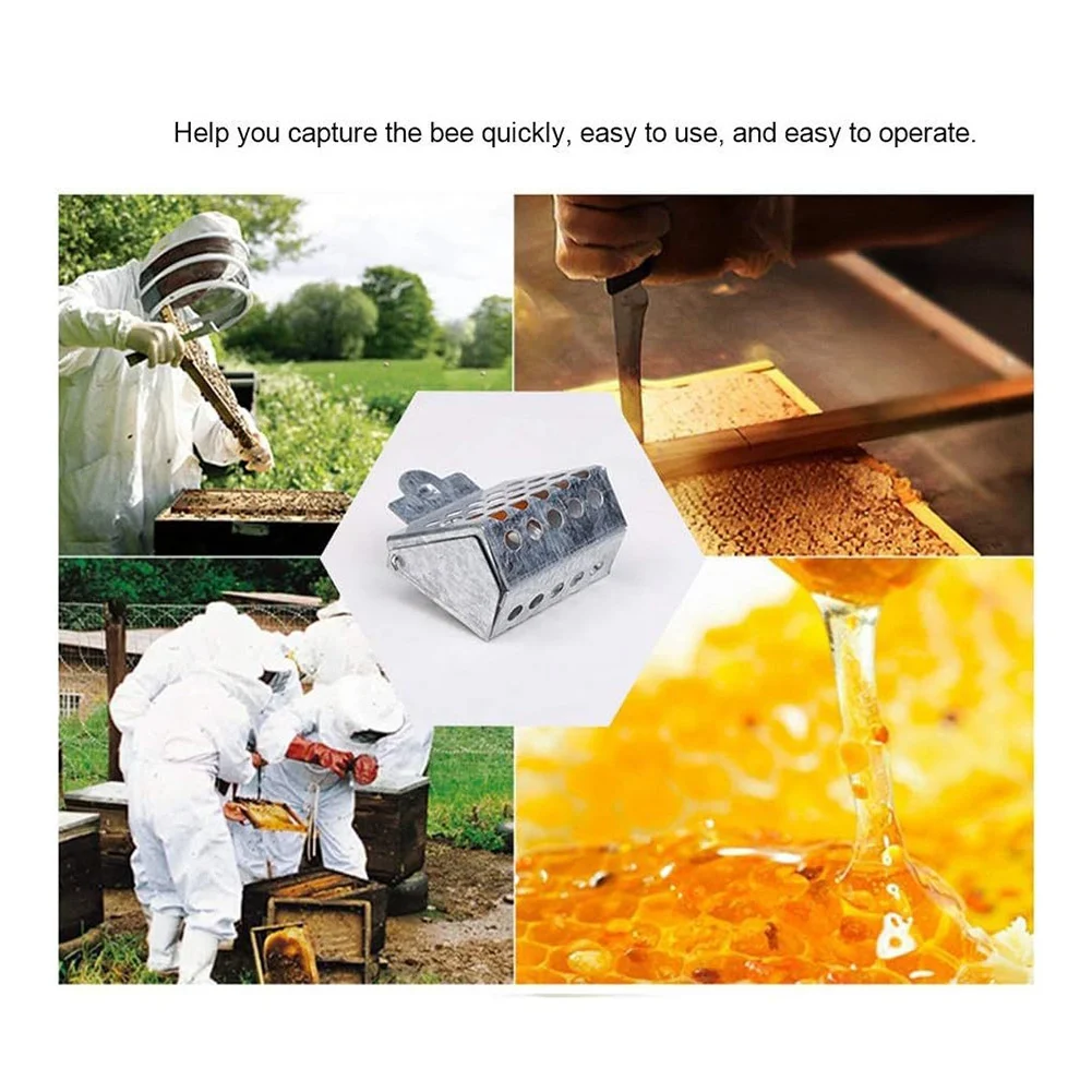 AS60-Bee Queen Clip Beekeeping Tool Bee Queen Catchers Cages Beekeeper Catching Apiculture Beekeeping Clip Bee Hive Supplies