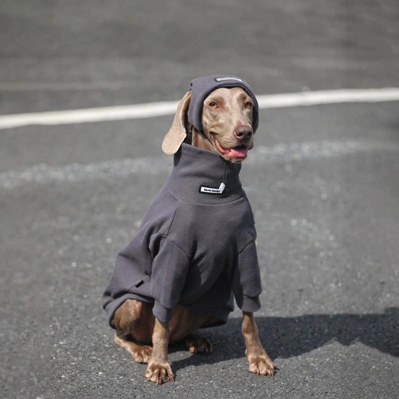 

Fashion Large Pet Clothes with Headgear Two-legged Medium Large Dog Sweatshirt Spring Golden Retriever Labrador Outfit Clothes